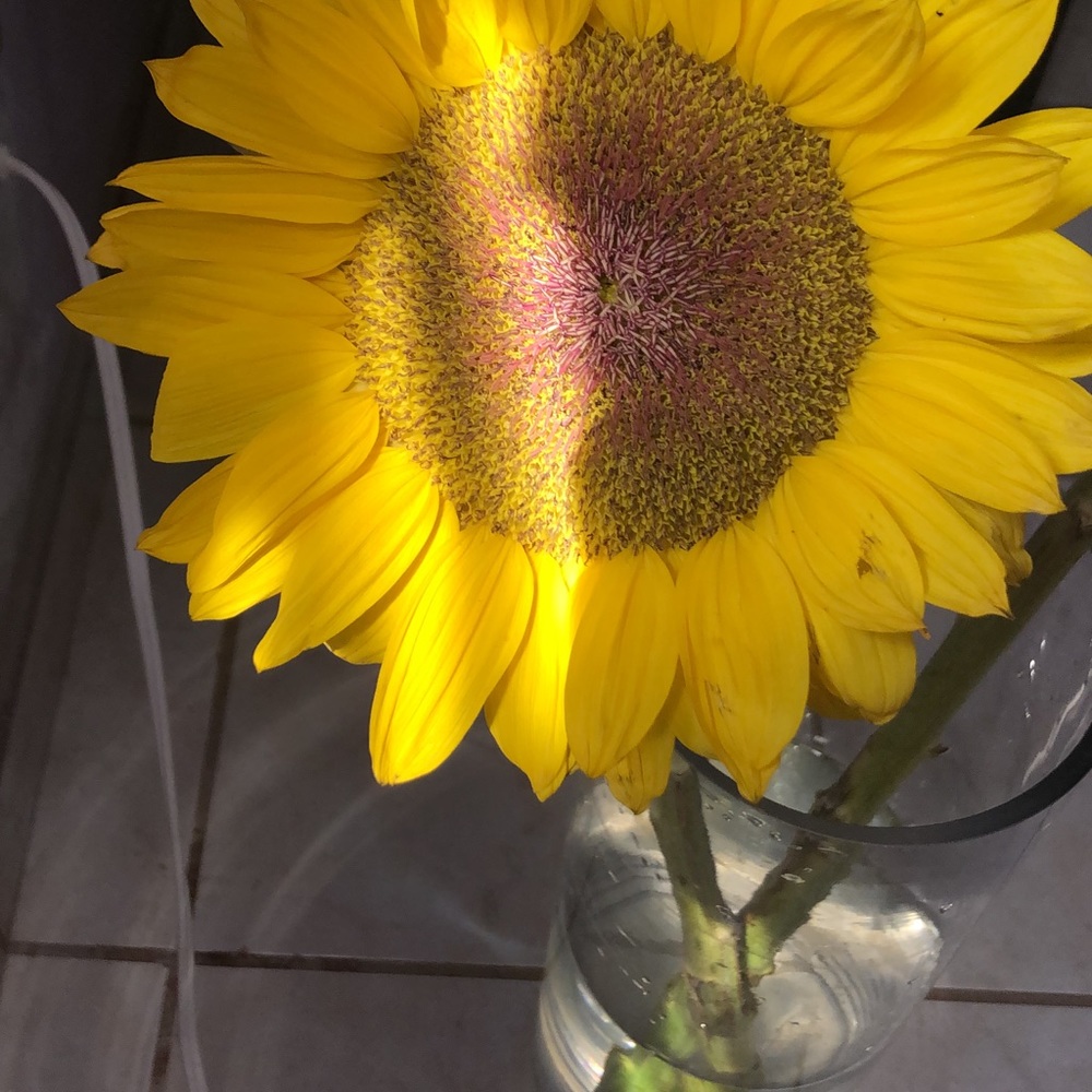 👋 Hi! I’m Yaima ✌️